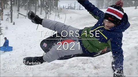 Taylors 1SE (1 Second Everyday) 2021