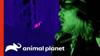 Matt's Thermal Camera Detects A Mysterious Creature | Finding Bigfoot