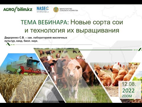 Инновационные технологии возделывания