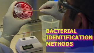 BACTERIAL IDENTIFICATION METHODS