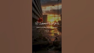 تلاوة هادئة تهدء قلبك ❤️ #اكسبلور #المصحف #قرآن #تلاوة #راحة_نفسية