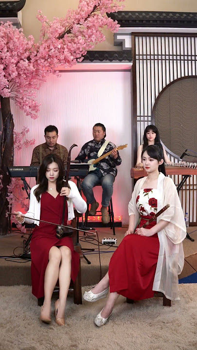 唐音乐队 | cover《来生缘》| 应大家要求，再来一个纯乐器版的#Shorts#弘扬国乐#cover | 中国乐器 chinese music