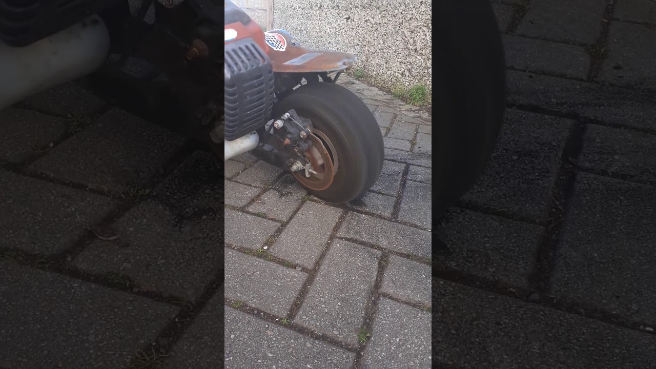 Corona virus Lockdown Nz