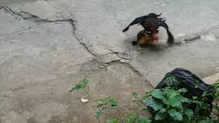 AyAm KaWiN HoT BaNgEt DeHhHhHh.