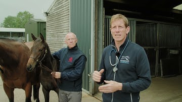 Transportation of the Mare and Foal