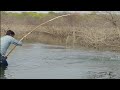 🐟🐋Incredible Big Rohu Fishing Unbelievable FISHING|Rohu fish catching Unique Fishing 🎣🐟