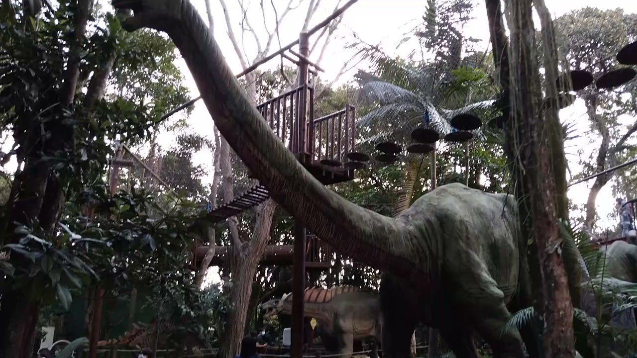 Mundo dos Dinossauros no Zoológico de São Paulo - YouTube