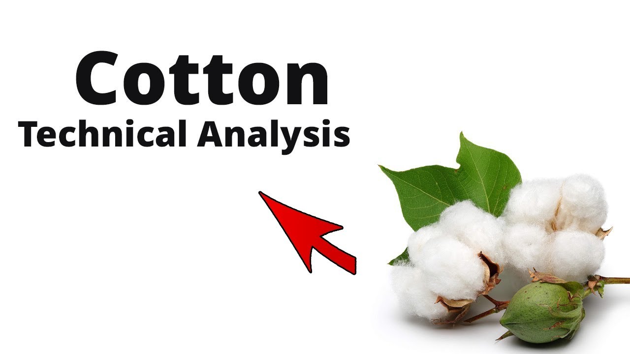 Cotton Technical Analysis YouTube