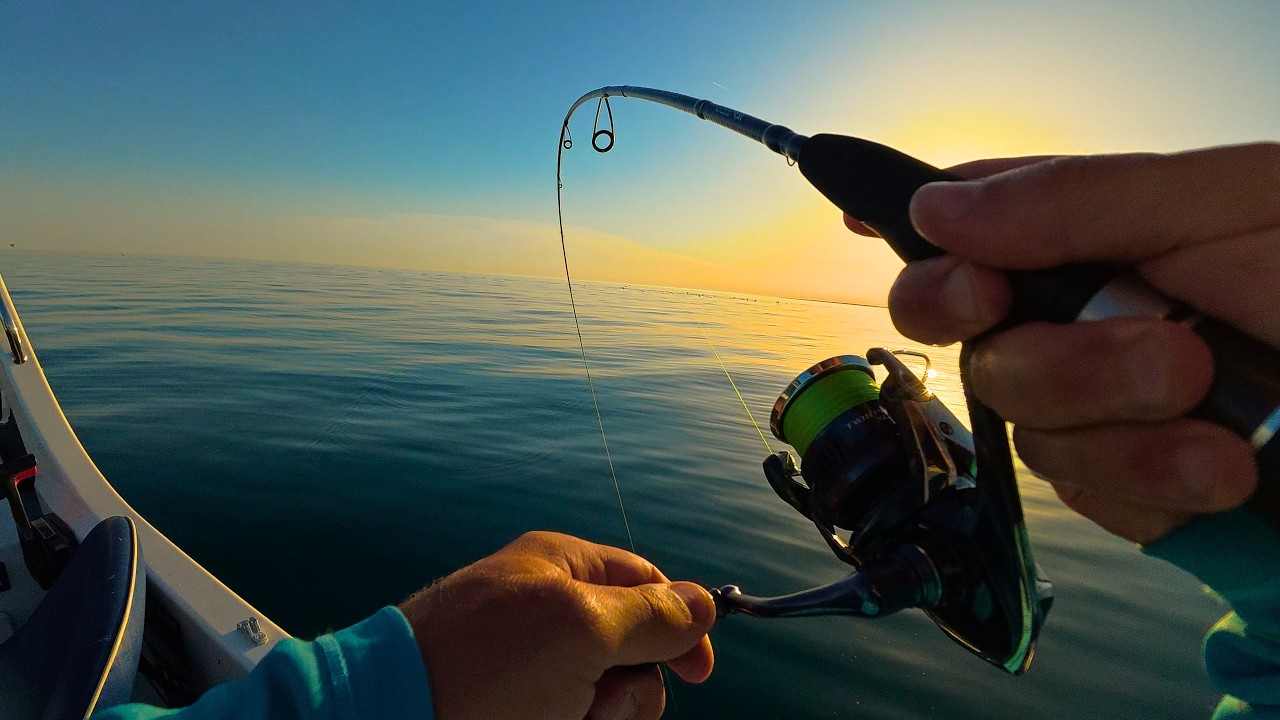 Can I Catch A Bass and Eat It Raw? (Fishing Challenge!)
