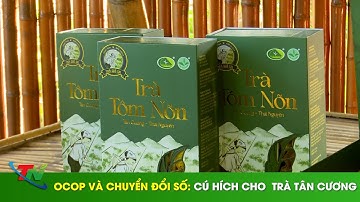 OCOP và chuyển đổi số: Cú hích cho  trà Tân Cương