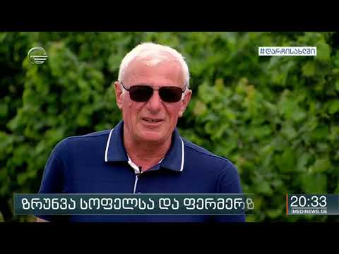 ერთ კვირაში მთავრობა სოფლის მეურნეობის ანტიკრიზისულ გეგმას აამოქმედებს