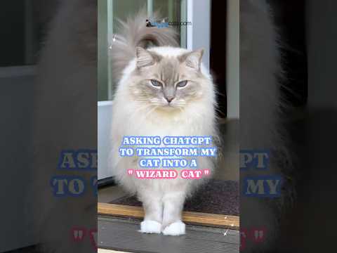 Feline Fantasy: Starring Trigg, as Seen by ChatGPT