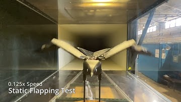 BoilerBird simulation and testing (Summer 2024)