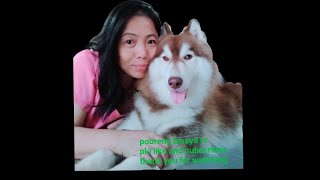 WORKOUT WTH MY HUSKY