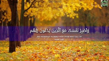 اجمل حالات واتس اب قرآن⁦❤️⁩_🎤القارئ هزاع البلوشي _تلاوة هادئة تريح القلب⁦❤️⁩😴