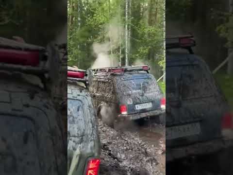 по полному засолили две нивы #авто #automobile #зимняядорога #скорость #offroad #funny