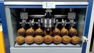 hitech super speed lathe cnc machine and beautiful collection of dried spiders