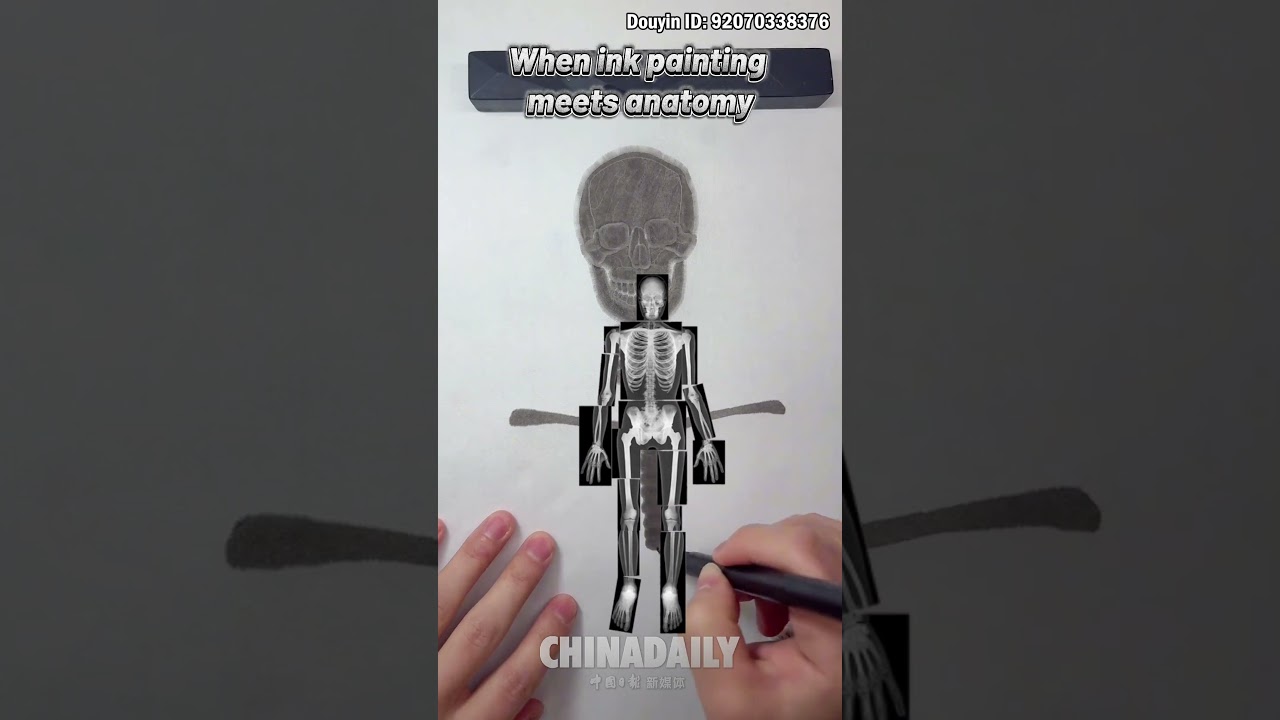 When ink painting meets anatomy