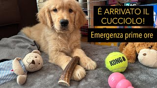 È ARRIVATO IL CUCCIOLO, emergenza prime ore!