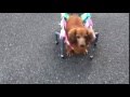IMG 6751