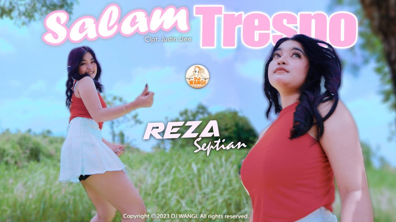 Dj Salam Tresno - Reza Septian (Official Music Video)