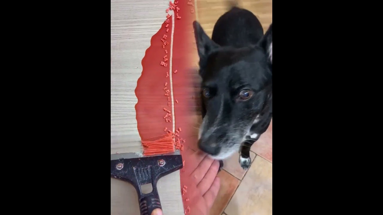 Ответить пользователю @narutozzzznaruto Ору со своего лица в конце ахах это заняло несколько часов,