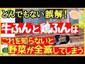 効果と効能が全く違う!牛ふん堆肥と鶏ふんの正しい使い方【初心者・家庭菜園】