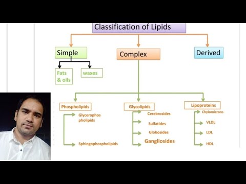 बायोकेमिस्ट्रीमध्ये लिपिड्सचे वर्गीकरण : साधे लिपिड्स ll जटिल लिपिड्स ll व्युत्पन्न लिपिड्स