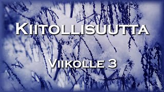 Kiitollisuutta Viikolle 3