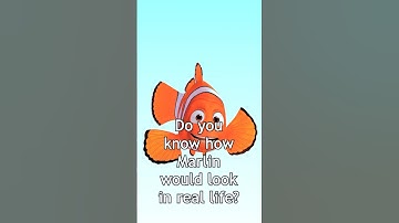 Imagine Marlin in the flesh - how would he be visually represented? #ai #inreallife #nemo #movie