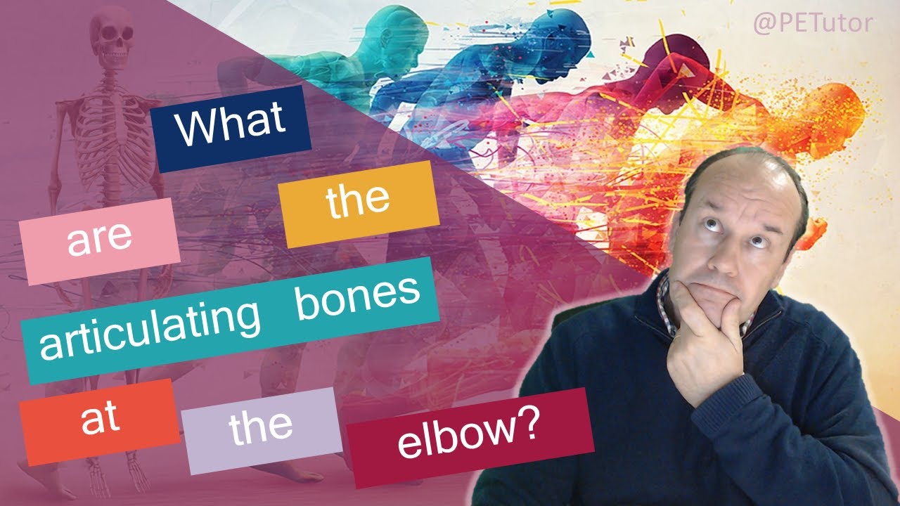 GCSE PE What are the articulating bones at the elbow? YouTube