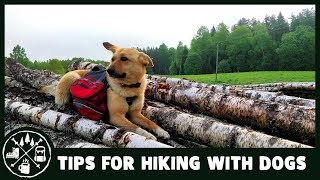 10 things to know before hiking with your dog