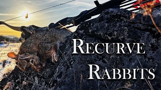 Recurve Rabbits. Catch and Cook, Traditional Bowhunting Rabbits