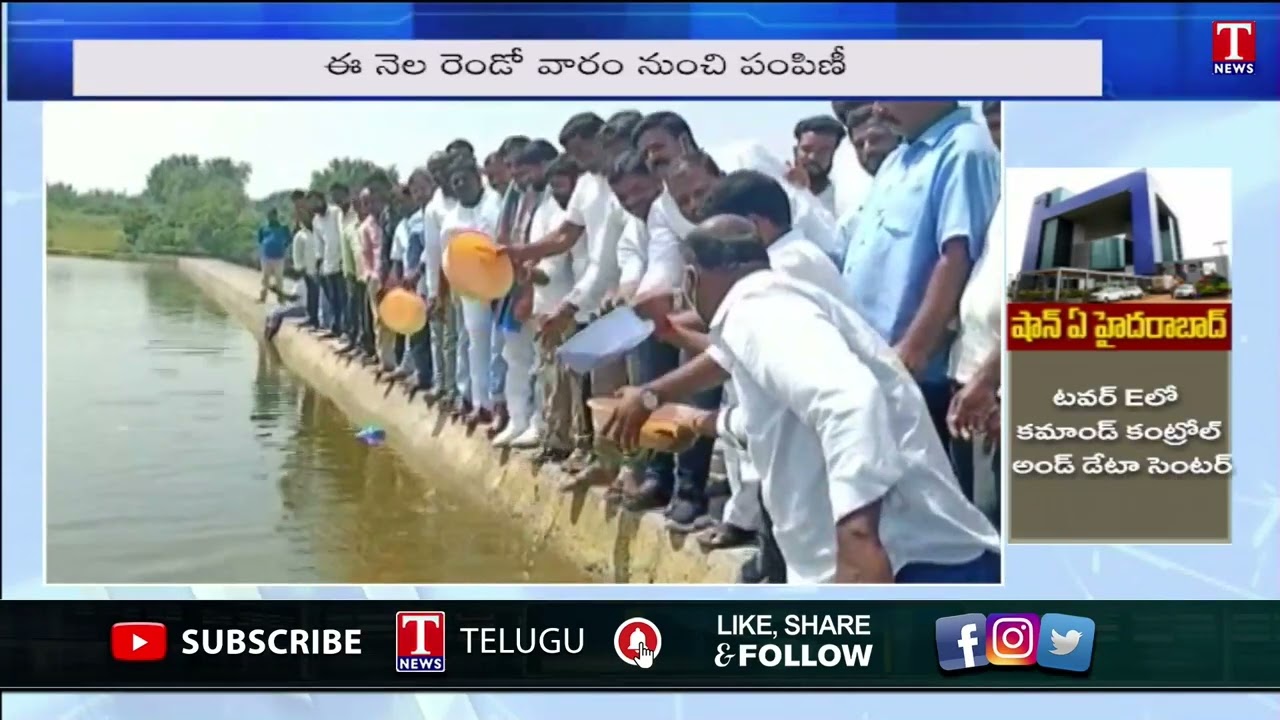 TS Govt Fisheries Sector decision on Fish Distribution across State | T News