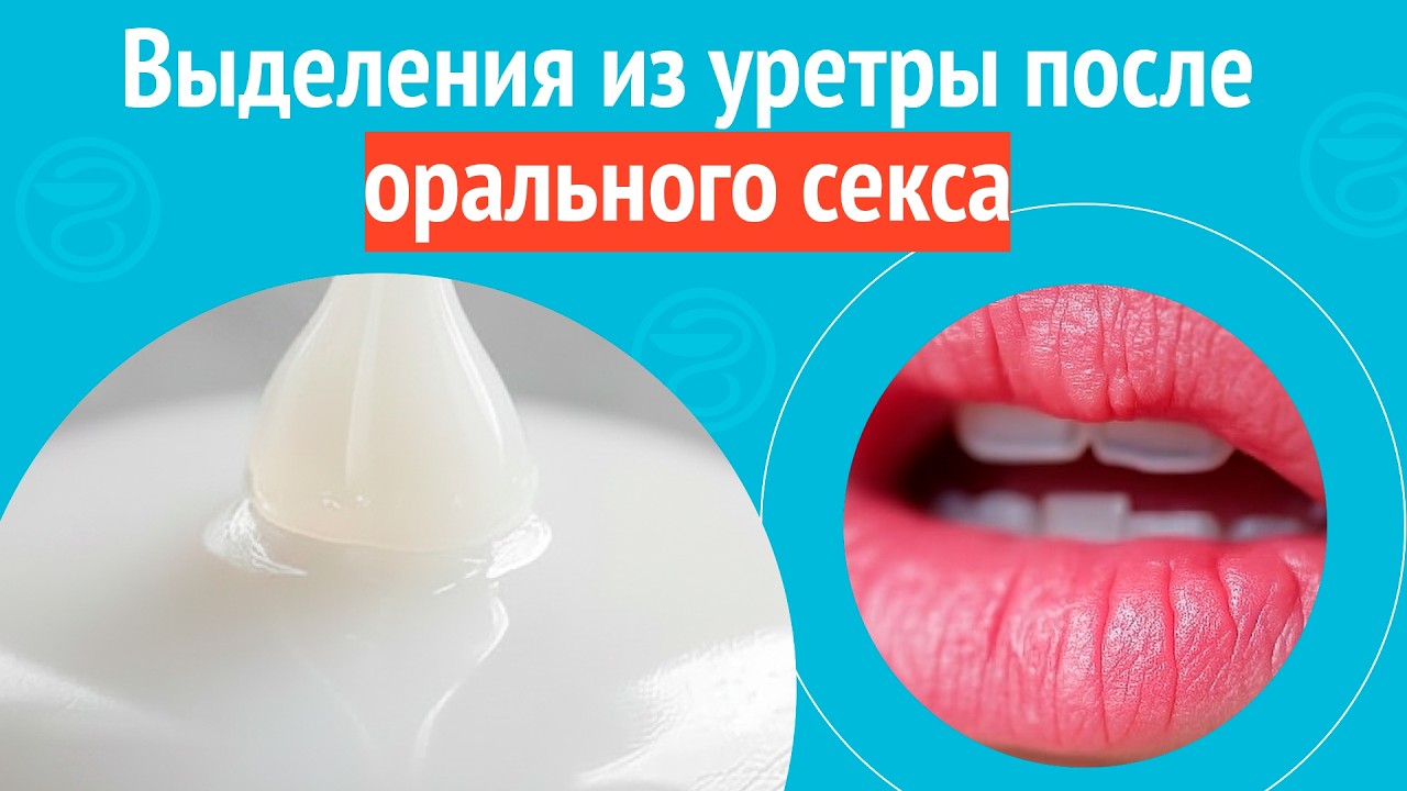 Почему После Секса Вытекает Почему После Секса Вытекает