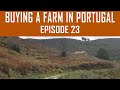 Buying a Farm in Portugal - Episode 23 - Three farms in one day