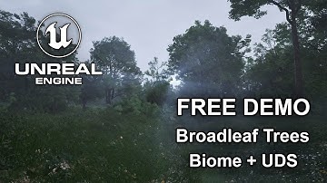 FREE Broadleaf Trees Biome Demo | Wind Slider | UDS | Unreal Engine 5.4 | Ultra Realistic Wind #UE5