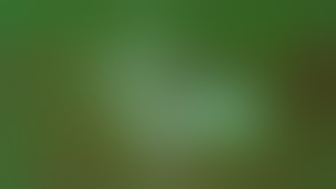 008 Texture Roller Sleeves part2