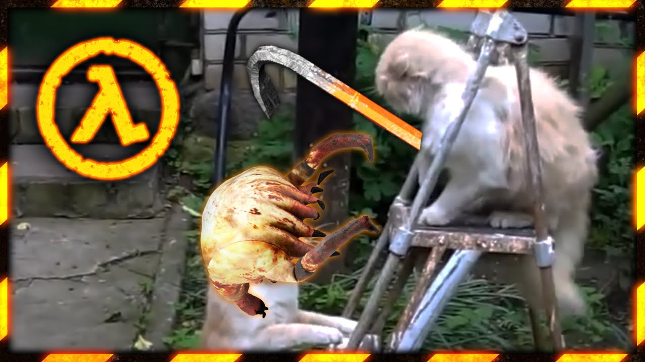 Half life Cat FIGHT