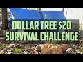 Dollar tree 20 survival challange