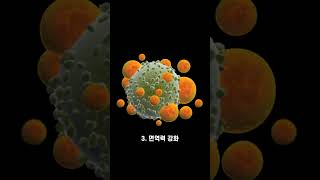 해독에 좋은 당근주스의 효능 5가지 #shorts #health