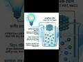 NaCl এর বিদুৎ পরিবাহীতা। SSC Chemistry. #sscsolutionpoint