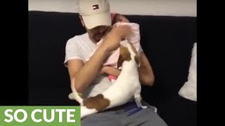 Puppy jealous of newborn baby's attention