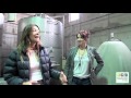 Antiyal organically grown biodynamically winery   food  wine travel maipo valley