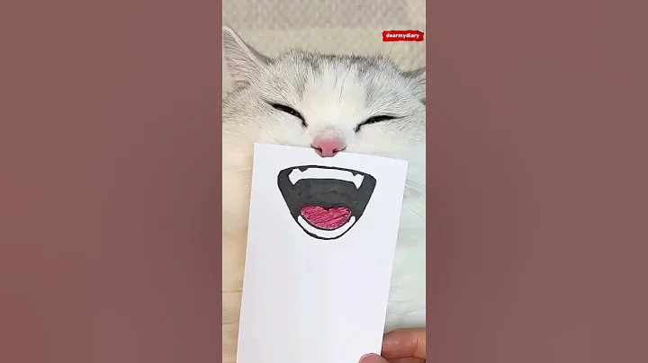 Watch the video about MAGIC FACE #cat #cute #funny #freefire #fyp #animation #animals #shortvideo #shorts #short #viral