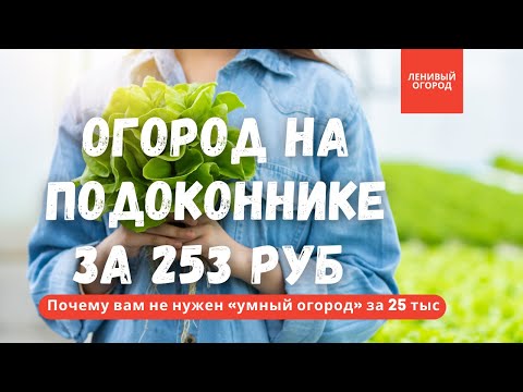 Огород круглый год ПОШАГОВО | Как вырастить микрозелень дома | Огород на подоконнике своими руками