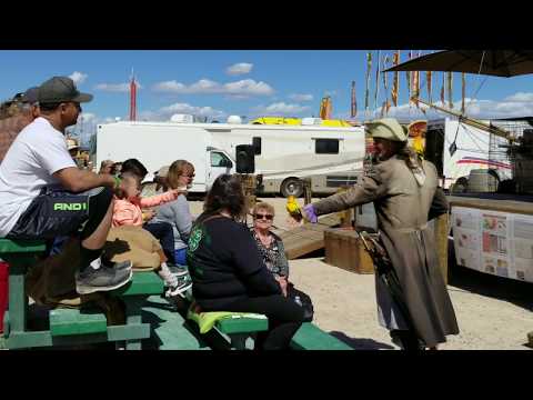 Pirates and Parrots