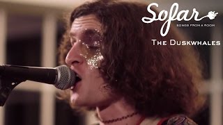 The Duskwhales - Never You Mind | Sofar Washington, DC