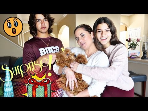 surprising-our-dad-with-a-new-puppy-!!can-he-solve-the-clues-?