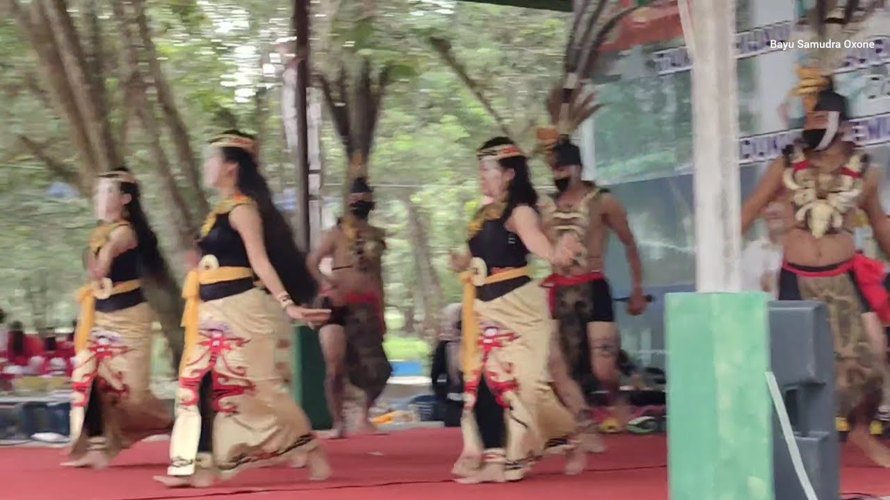 Tari kinyang antang manari, suku dayak katingan, kalimantan tengah, indonesia